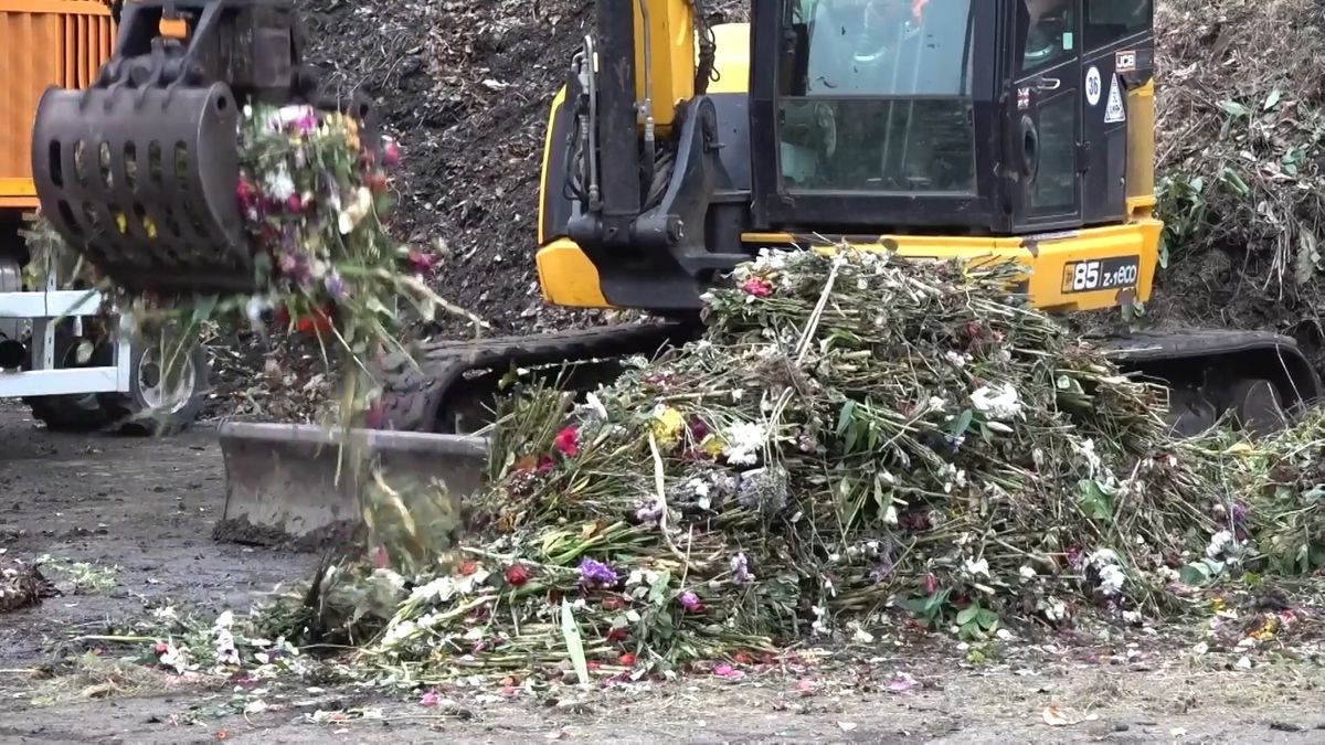Květiny k uctění královny Alžběty poslouží jako kompost pro královský park